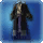 Archmage's Coat