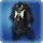 Augmented Cauldronking's Coat
