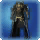 Augmented Lost Allagan Coat of Striking