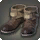 Bergsteiger's Boots