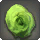 Dried Green Oldrose