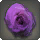 Dried Purple Oldrose