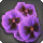 Purple Viola Corsage