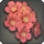 Red Cherry Blossom Corsage