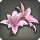 Red Brightlily Corsage