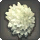 White Dahlia Corsage