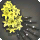 Yellow Hyacinth Corsage