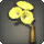 Yellow Morning Glory Corsage