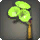 Green Morning Glory Corsage