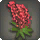 Red Lupin Corsage