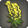 Yellow Lupin Corsage