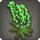 Green Lupin Corsage