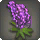 Purple Lupin Corsage