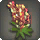 Rainbow Lupin Corsage