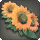 Orange Sunflower Corsage