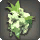Green Cattleya Corsage