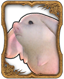 Carte Triple Triade Porxie